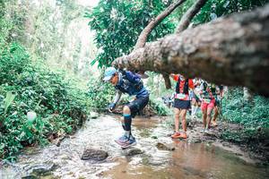 BIB: 
                            <button type="button" onclick="openModal(25372833)" class="btn btn-primary btn-sm float-right btn-popup" data-toggle="modal" data-target=".modal-high-quality">
                        <i class="fas fa-shopping-cart"></i> Add to Cart
                    </button>
                                            <button type="button" onclick="isThisMe(25372833, true)" class="btn btn-success btn-sm float-right btn-popup btn-isme hidden" data-toggle="tooltip" data-placement="bottom" title="นี่คือรูปของคุณใช่ไหม คลิกที่นี่เพื่อเอาเข้าอัลบั้ม">
                        <i class="fas fa-plus"></i> Add to album
                    </button>
                    <button type="button" onclick="isThisMe(25372833, false)" class="btn btn-warning btn-sm float-right btn-popup btn-isnotme hidden">
                        <i class="fas fa-ban"></i> Remove from album
                    </button>